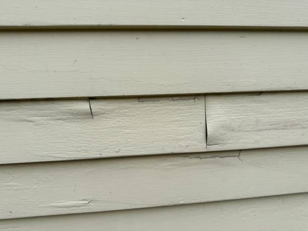 Best Steel Siding Installation  in Magalia, CA